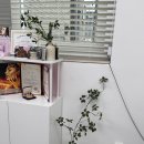 보령뷰티샵 | [보령속눈썹펌]내돈내산 속눈썹펌 후기 대천 소소브로우 뷰티샵