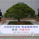 인천세관 이미지