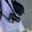 보라매공원 | [캐논 파워샷 S5IS] 2025 서울국제정원박람회, 보라매공원 출사 후기