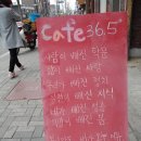 카페36.5 Daum카페