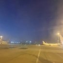 가고파꽃하우스 | 편 #10 / 자매여행, 오페라하우스바 자리 꿀팁, ocean...호주 수영복 브랜드 구매, yehs hotel qvb 후기