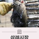 까치헤어샵 이미지