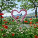 의령남강 이미지