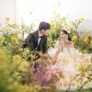 스튜디오-L 이미지