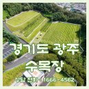 씨유광주장지마을점 | 경기광주수목장 장점과 선택 기준, 고려할 점, 상담 및 방문 예약