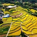 사포마을 이미지