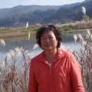 이영숙가게 이미지