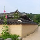 남호민박 이미지