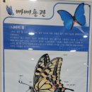 자산공원(해오름전시실) 이미지