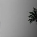 대덕대학교 이미지