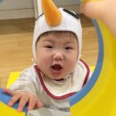 딩동댕 플레이 키즈스쿨(8~14개월) 이미지