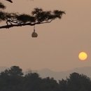 대청호반 사회적협동조합 이미지