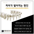가나치과의원 네이버블로그