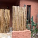 아레나로하 이미지