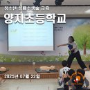 남양주양지초등학교 이미지