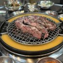 돗배갈매기 이미지