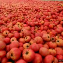 수피령로 이미지