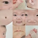 샐러디 미아점 | 26.01 일상(3) 혼돈의 백일사진