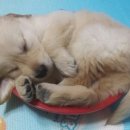 이브이야기 이미지