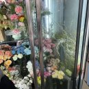 오블리비아떼 | 사당역 감도있는 꽃집 재재방문한 &lt;오블리비아떼&gt;