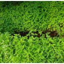 고단3리 이미지