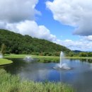 소피아그린 이미지