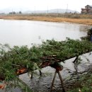 수려한 산수와 사자산문 미리보기 ㅡ 4. 이 다리는 만들 때부터 '끊길' 것을 압니다 이미지