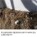 고려 부동산중개사무소 | [고려부동산 중개사무소, 신설치안센터 흉물방치 인터뷰]