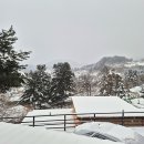 모나캠핑파크 가평점 이미지