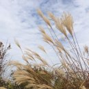 호코농장 이미지