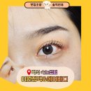 알미공원(중) | [일산 속눈썹펌 후기] 이원장댁에서 받은 인생 컬✨ 자연스러운 백석 속눈썹펌