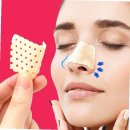 디에이치코 이미지