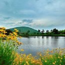 남경호텔 이미지