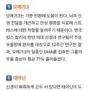 우울감 개선에 도움되는 영양제 이미지