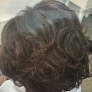 정진컨설팅 | 일산 미용실 추천 마두동 미용실 후기 뿌리펌 링거펌 잘 하는 아이디헤어 웨스턴1호점 정진실장