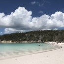 위트선데이 이미지