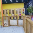 펫플러스라이프 이미지