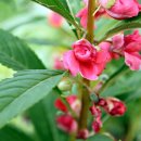 첫눈에안경 이미지