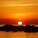 떠오르는 태양 이미지