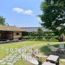 예천 금당실마을 카페 용문 금당마루 블루베리스무디 솔직 후기