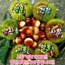 인류 보편적 가치의 중요성 이미지