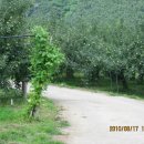 지동농장 이미지