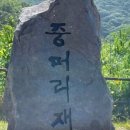 양만휘해물생합칼국수 이미지