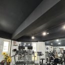 운동이끌림 이미지