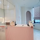 구영 고양이 무마취 미용 | [꽃냥 고양이 미용실: 안양 고양이 무마취 미용: 후기: 주차: 비용 등등]