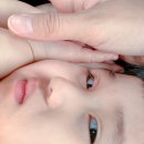 해찬목장 이미지