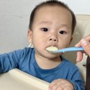 청정한 축산물 백화점 | 제철재료로 만드는 에코맘의산골이유식 10개월 중기이유식