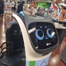 [뭐라도학교] 2024년 결산 뭐라도하는밤 | [11월 결산] 소원트리에 써서 소원이 이루어지는 걸까요? 아니면 그만큼 간절히 바라서 이루어지는 걸까요