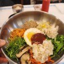 오로지생태한마리 이미지