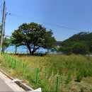 남해-304 이미지